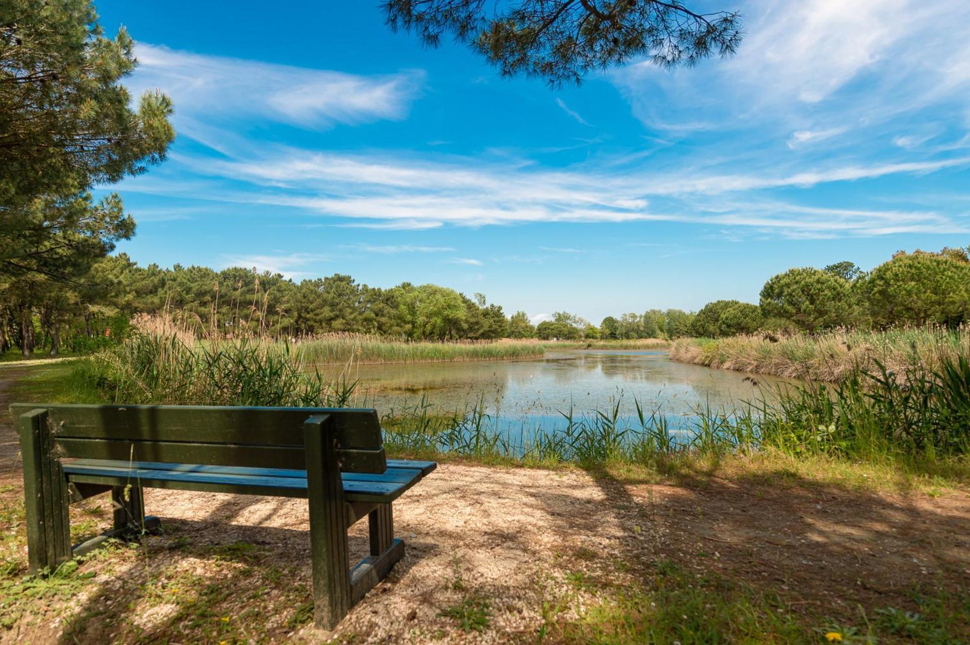 Isola Di Albarella Golf Albarella Island